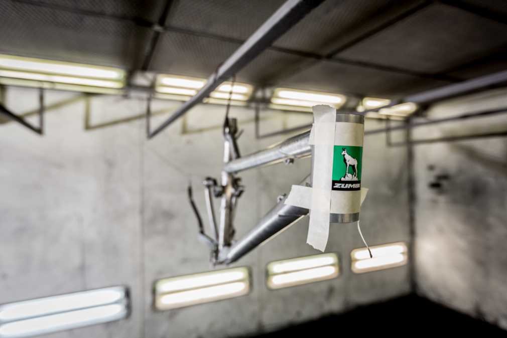 custom painting bike frame zumbi