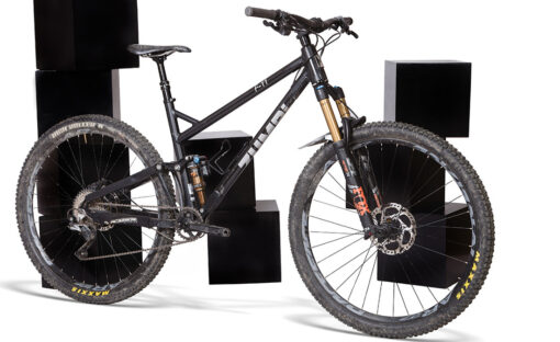 zumbi F11 29er black friday test bike